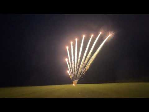 Slice Cake 10 Shot Z-Shape Silver Palm Comet