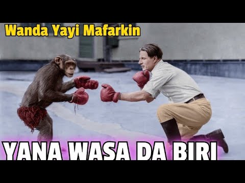 , title : 'Wanda Yayi Mafarkin Yana Wasa Da Biri'