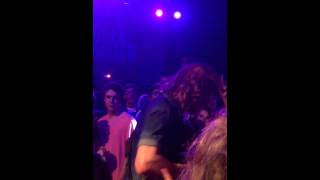 The Rocket Summer Roses