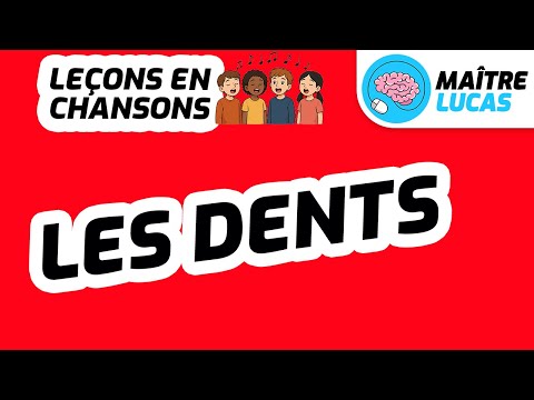 🎤 Leçons en chansons - Les dents 🎶 - Sciences - Questionner le monde