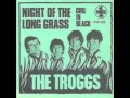 The Troggs Night Of The Long Grass