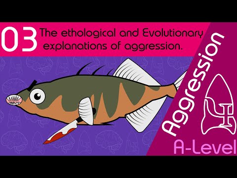 3 Ethological & Evolutionary
