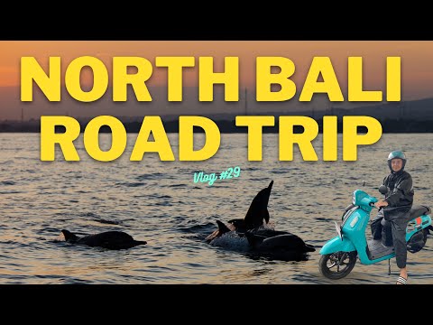 NORTH BALI ROAD TRIP  - BEDUGAL, LOVINA & MUNDUK