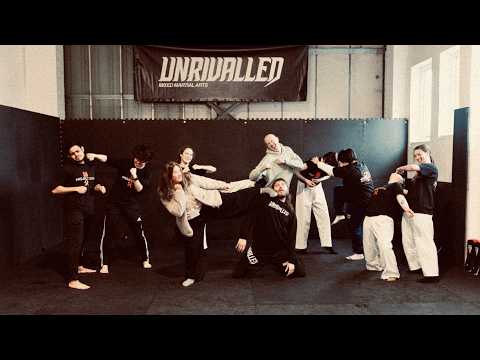 Project Sifu | The Tai Chi Notebook