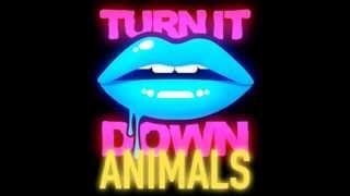 Kaskade vs Martin Garrix - Turn It Down Animals (Kaskade&#39;s Paradiso Mashup)