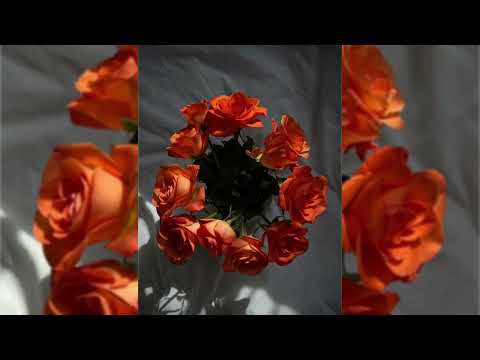 YAKTAK feat. SOBOL - Погляд (speed up)