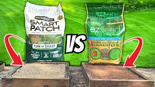 Grow Grass Fast: Scotts VS Pennington | The Patchy Lawn Quic
