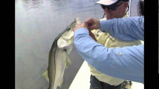 Wobler Rapala Floating Magnum 11_BRMD