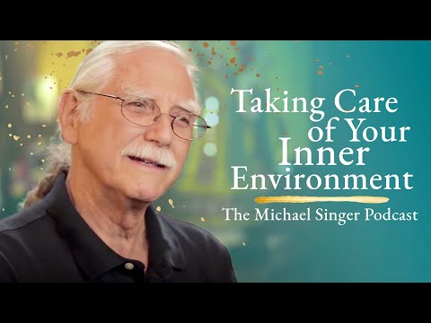 The Michael Singer Podcast: Taking Care of Your Inner Environment