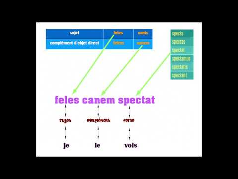 Introduction au latin