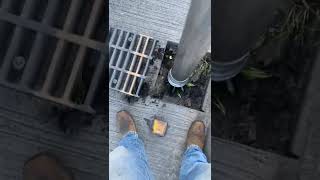 Download lagu proses pembersihan got dengan mesin sedot #short #shortsyoutube #teknik #viral mp3 Download lagu proses pembersihan got dengan mesin sedot #short #shortsyoutube #teknik #viral mp3