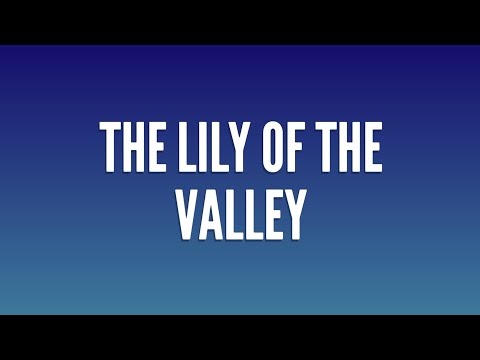 Lily Of The Valley - Christian