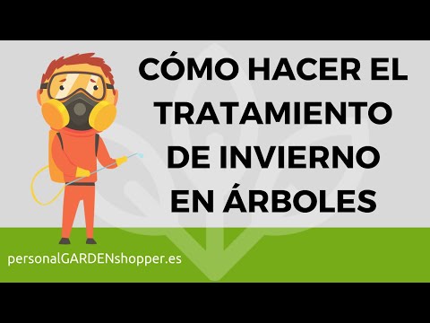 Cómo hacer el tratamiento de invierno en árboles frutales y ornamentales