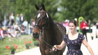 Happy Retirement, NB.