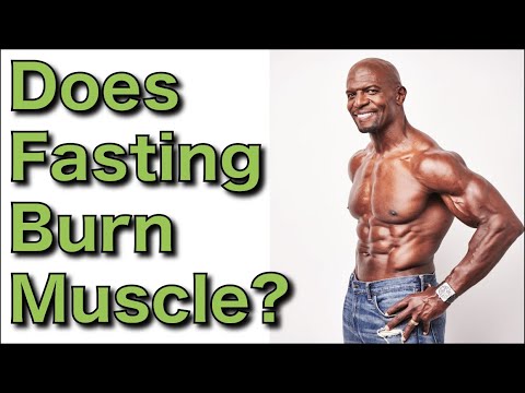 Does Fasting Destroy Your Muscle? | Jason Fung