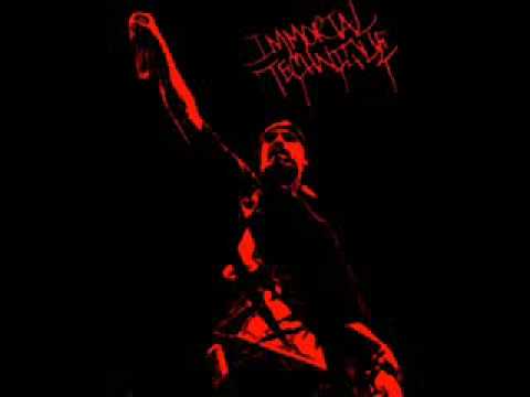 Immortal Technique feat Sabac Red - Fight Until The End