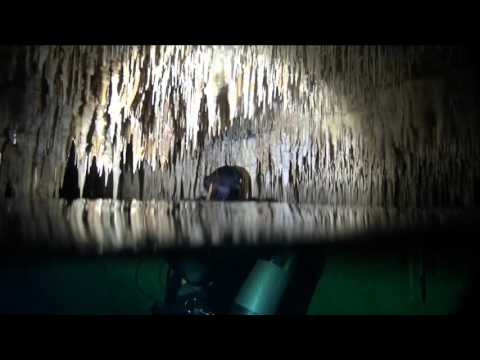 Cenote Dreamgate , Yucatan (cenote diving)