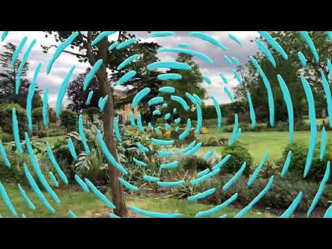 Một ngày đi chơi ở công viên - Let's go to the park