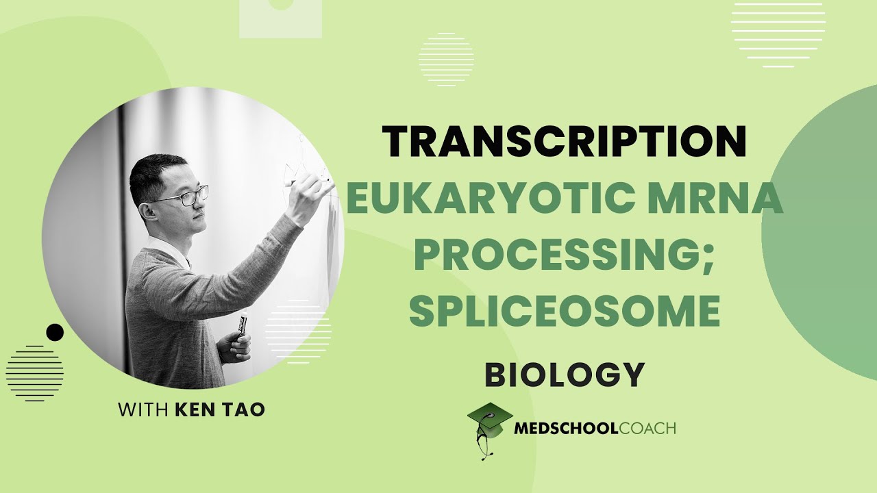 Types of RNA and Mechanism of Transcription