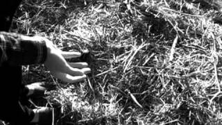 High Waters (Official Music Video)