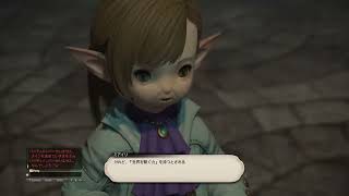 ファイナルファンタジー１４「レベル９０ー１００帯２０２プレイ