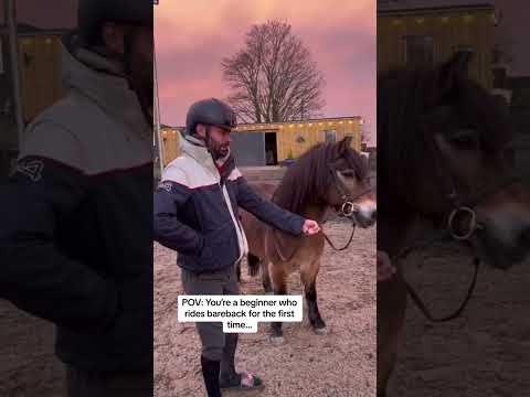 well that was chaotic…👀😂 #horse #equestrianjourney #equestrian #horsegirl #comedy #throwback