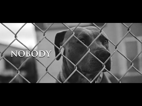 Ace Rico - Nobody ft. 23 & Mitche (Official Video)