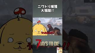 【7DTD v3.0】ニワトリ捕獲で大騒動！！【切り抜き】 #shorts #7dtd #7DaystoDie