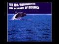 You Could Die (Or This Might End) - Ted Leo & The Pharmacists