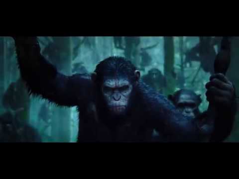 NYM LESTOBACO  - LAWAN (SAY NO TO RACISM)