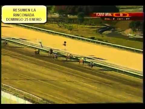 RESUMEN LA RINCONADA DOMINGO 25 ENERO 2015