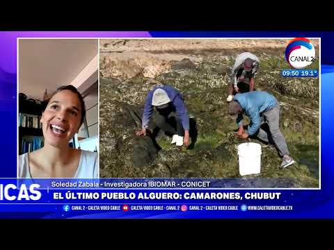 El último pueblo alguero está en Camarones, Chubut