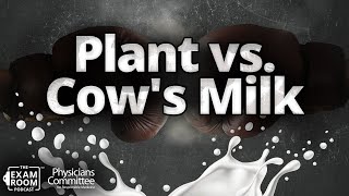 Nondairy vs. Cow's Milk: Which Is Healthier? | Dr. Anna Herby