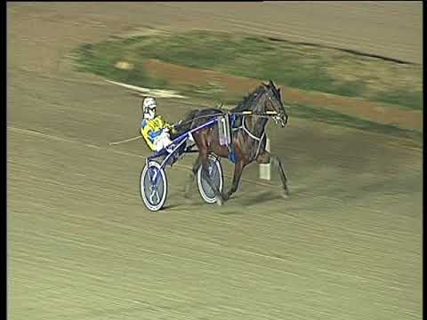 Trotto 05/01/2018 - prova di qualifica