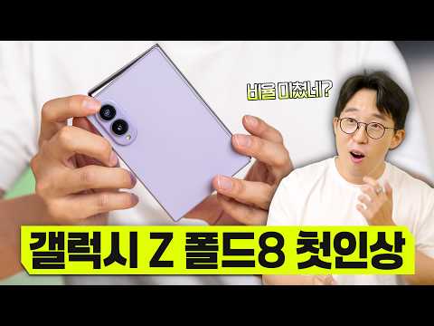 �Ｚ���� ������Z ����8 256GB, �ڱ���
