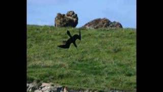 Resposta ao tempo Nana Caymmi