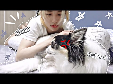 Hyunjin and kkami ✨then vs Now✨ (watch till end) 😂 #hyunjin #skz