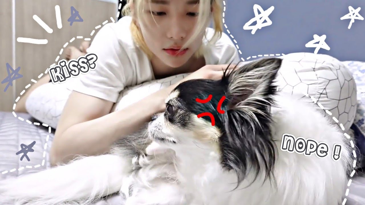 Hyunjin and kkami ✨then vs Now✨ (watch till end) 😂 #hyunjin #skz