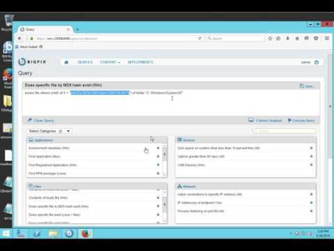 Consulta BigFix
