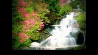 Love Story ( Richard Clayderman).wmv