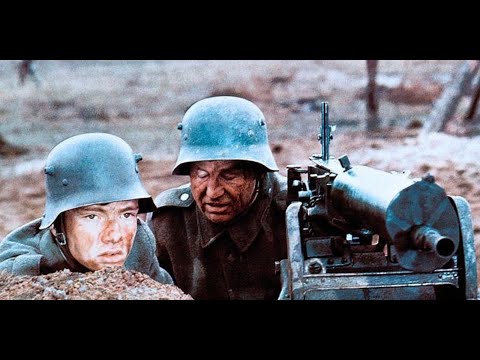 aus einem deutschen Leben, 1977 - Videorezension