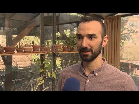 Heti Hírtükör - 2022.04.01.