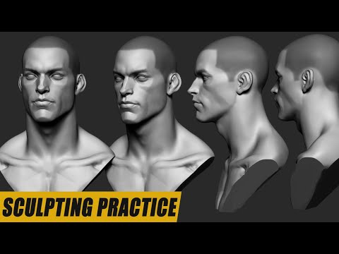 Realtime Male Head Sculpting Practice | 3D Sketch (Zbrush)