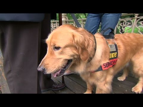 CNN: Former Army Captain: Dog saved my life