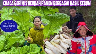 Download lagu PERTAMA KALI TIKA TES MANTEL KHAS WARGA DESA SINI, PANEN BANYAK SAYUR DAUN BESAR, LOBAK DAN PAKCOY mp3 Download lagu PERTAMA KALI TIKA TES MANTEL KHAS WARGA DESA SINI, PANEN BANYAK SAYUR DAUN BESAR, LOBAK DAN PAKCOY mp3