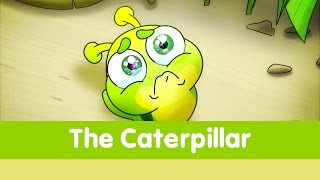 The Caterpillar - Toyor Baby English