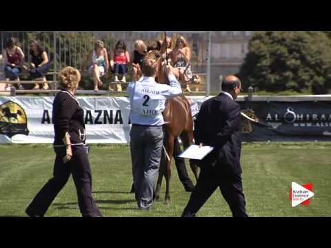 N.2 AZAH ALENAYA - Chantilly 2015 AWC - Fillies 1 year old (Class 1A)
