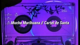 Mucha Marihuana // Cartel de Santa