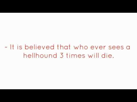 Real Life Myth: Hellhound