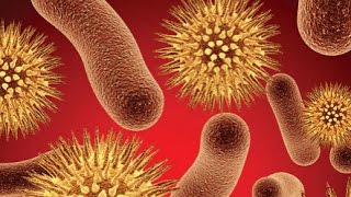 Cream singuri bacterii rezistente la antibiotice? Daca da, afla cine e responsabil pentru aceasta!